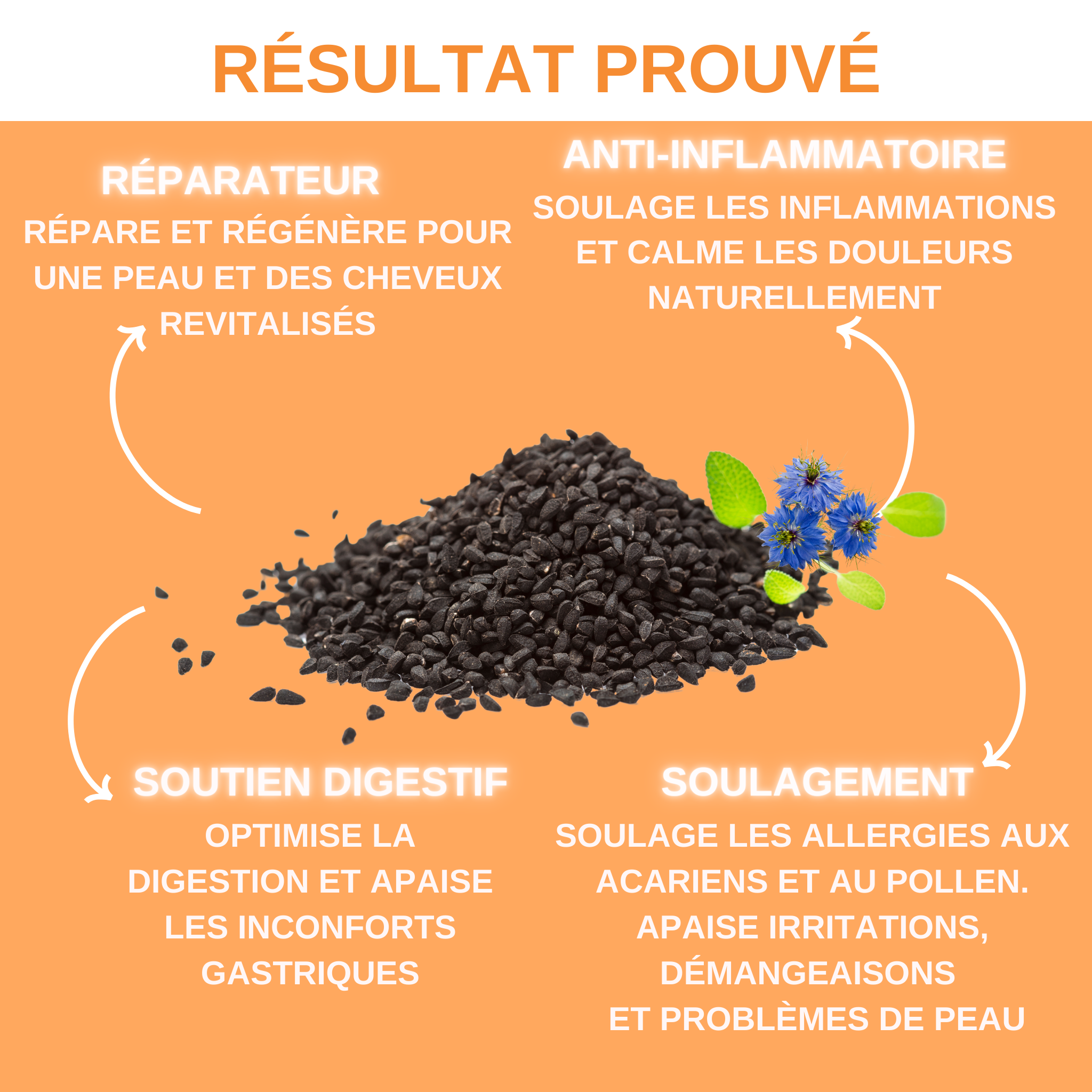 Huile de Nigelle