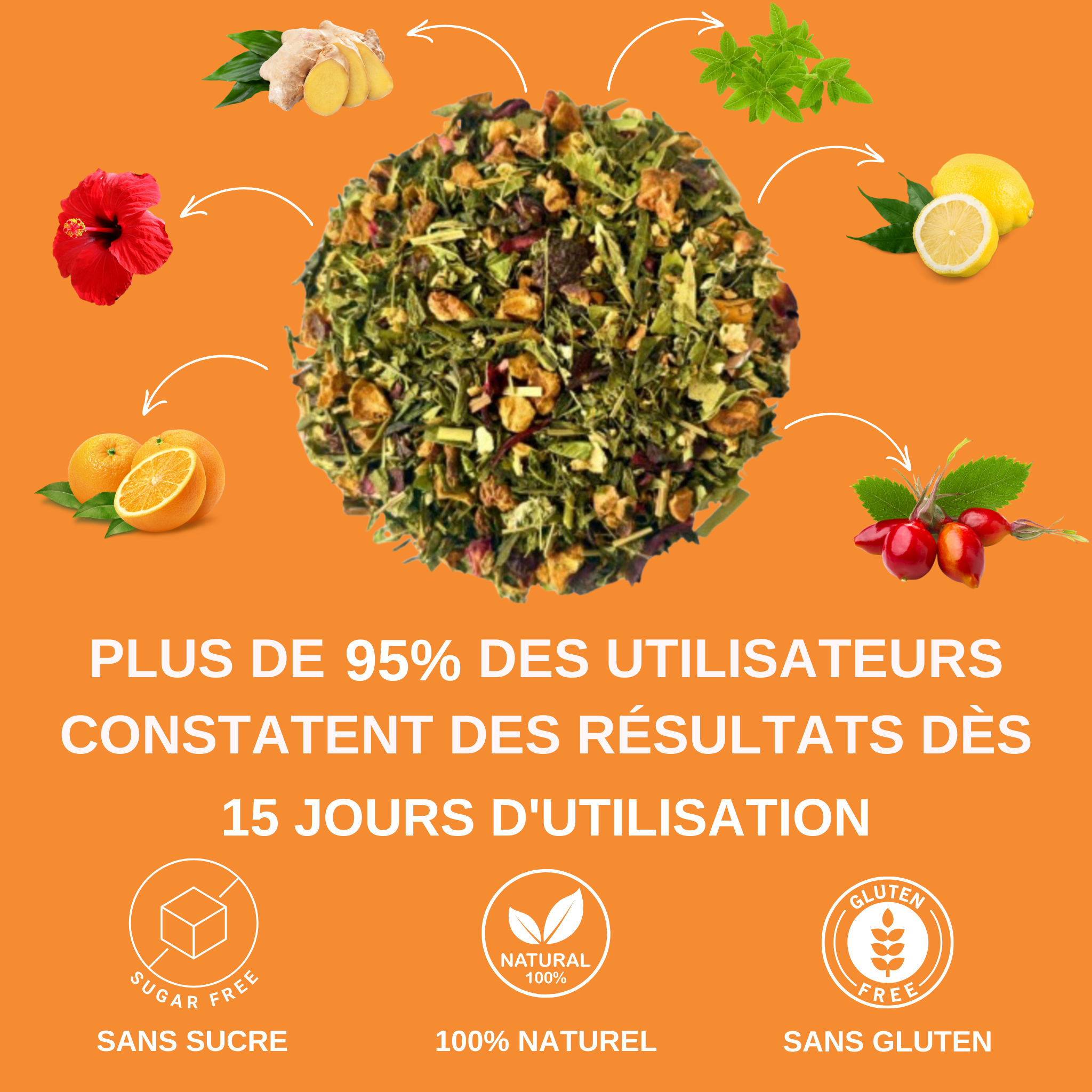 LINEA TEA