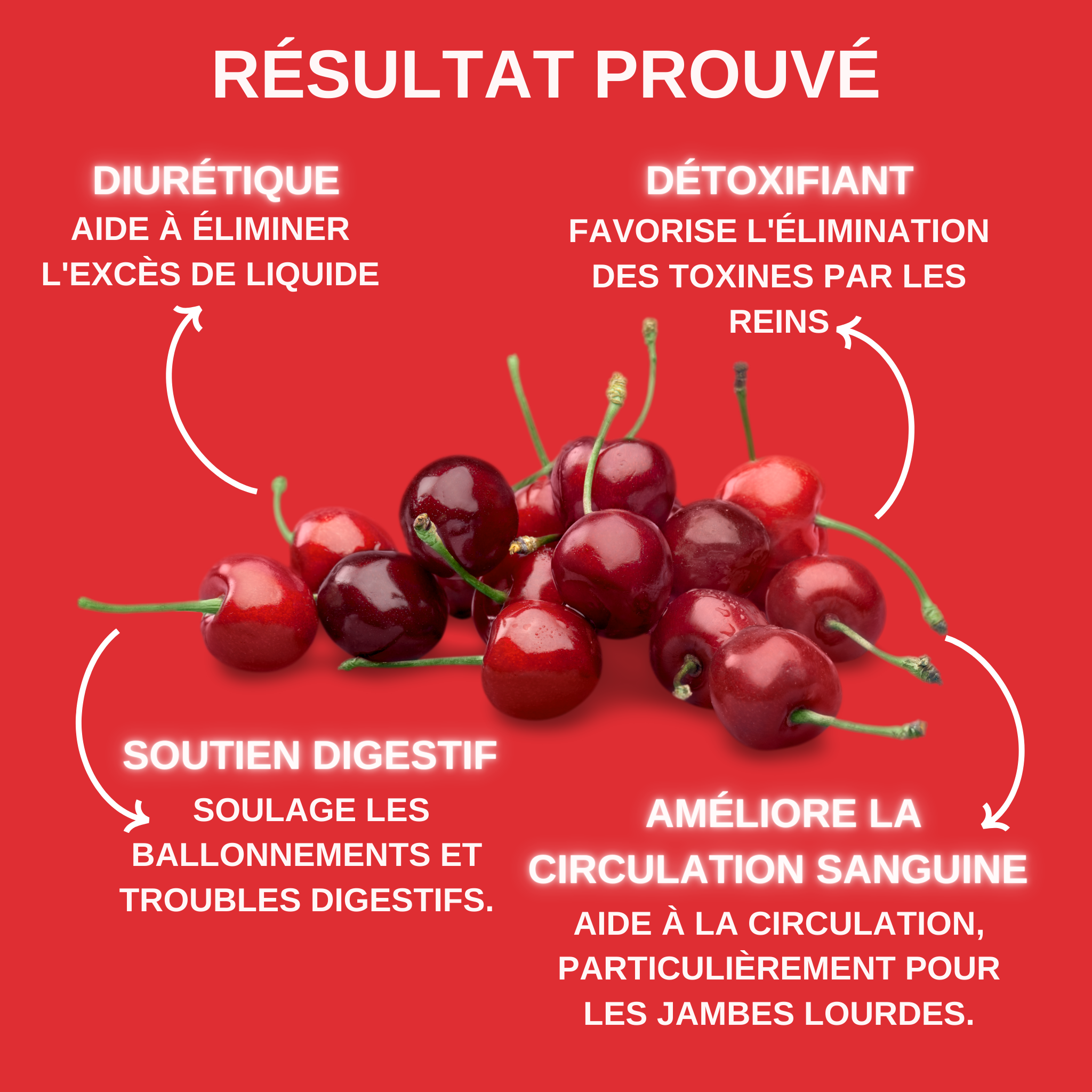 QUEUES DE CERISE - TEA